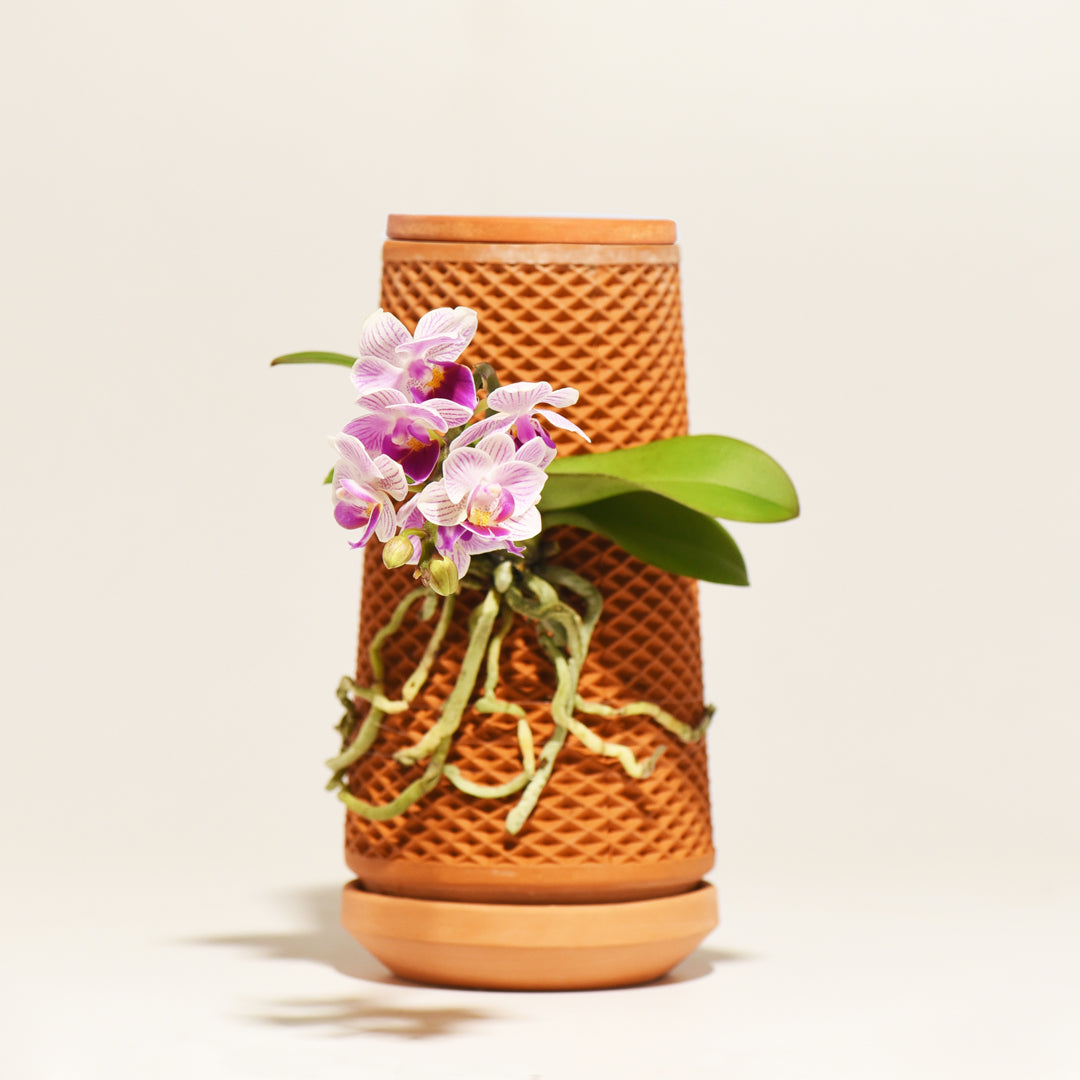 tevaplanter(テバプランター)