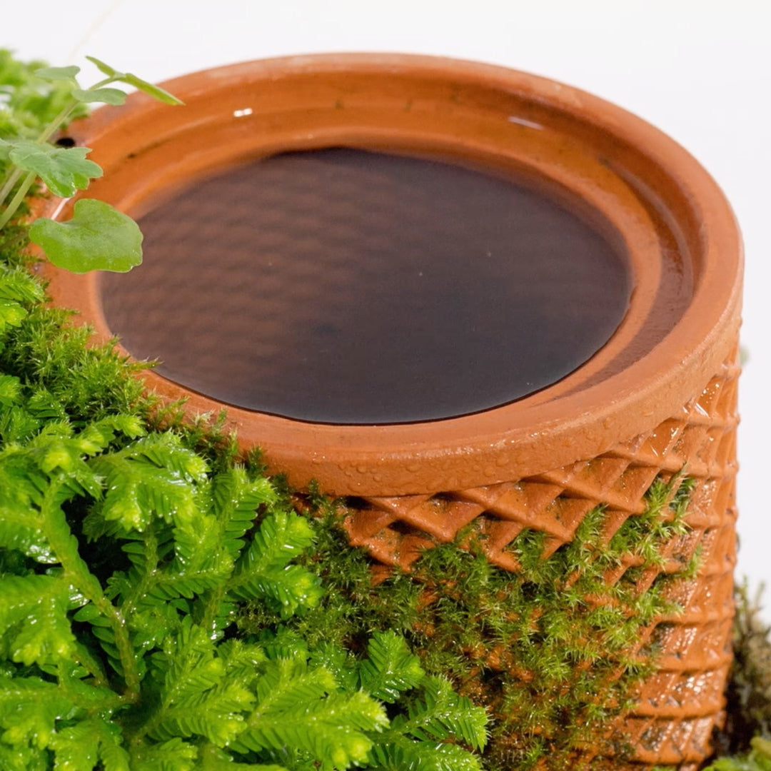 tevaplanter(テバプランター)