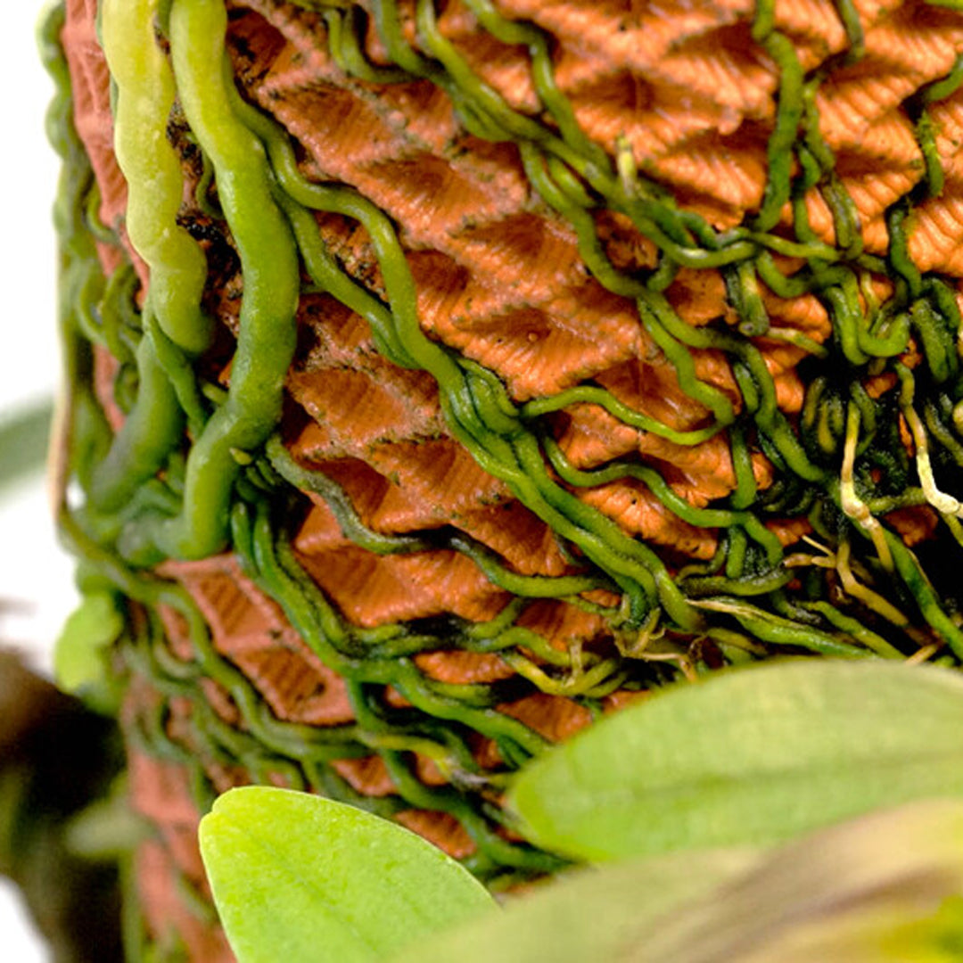 tevaplanter(テバプランター)