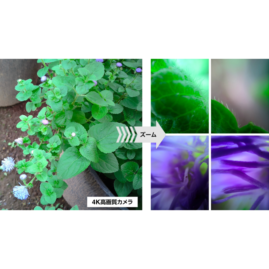 MicroCam X1