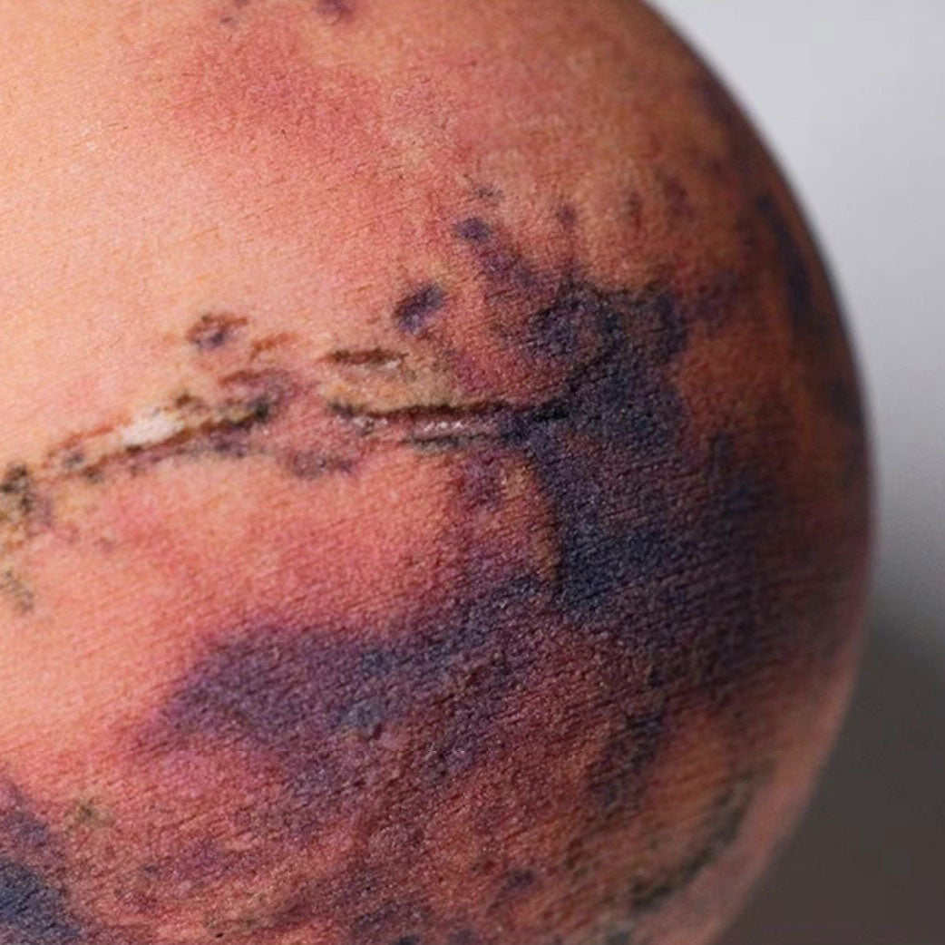 Mars Mission Special Edition