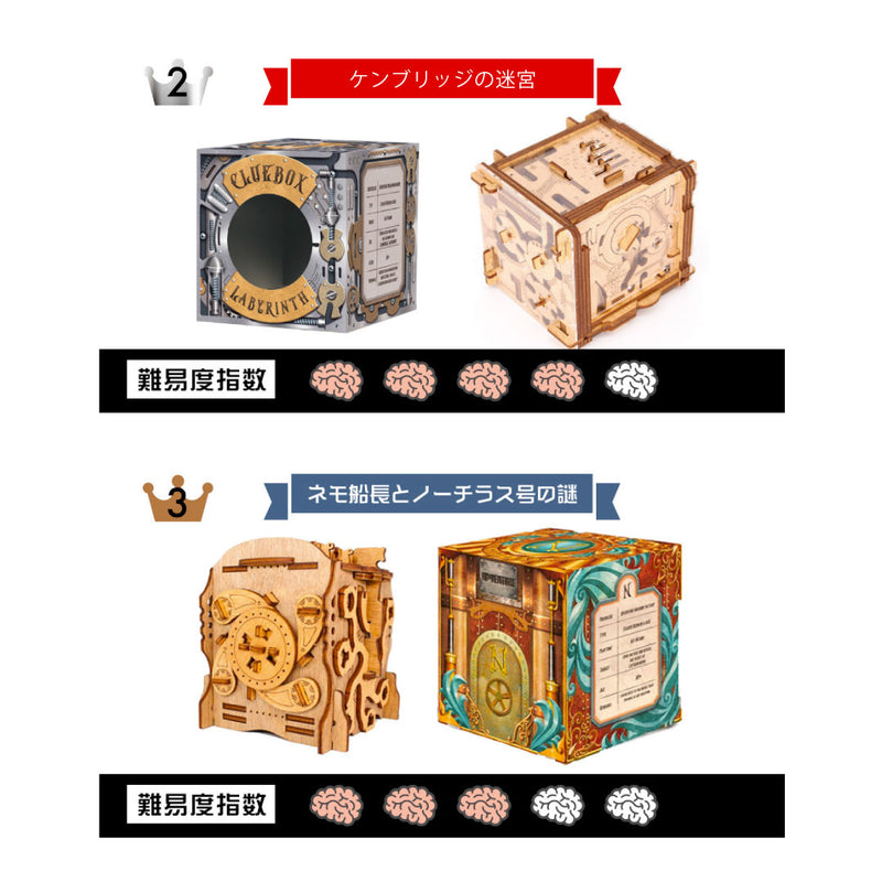 5 Mechanical Puzzle Set - Puzzle Gift Box for Adults