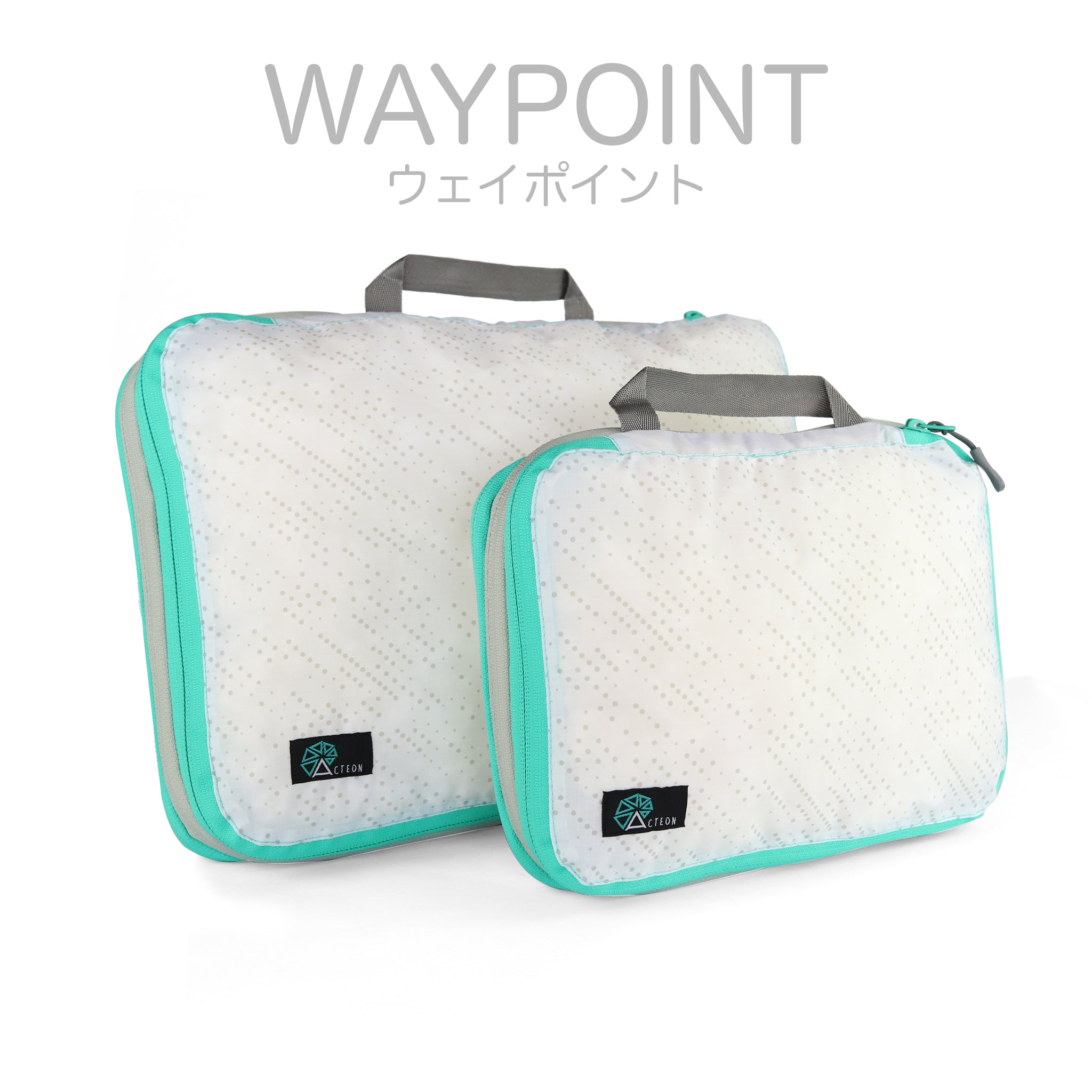 Acteon Packing Cube
